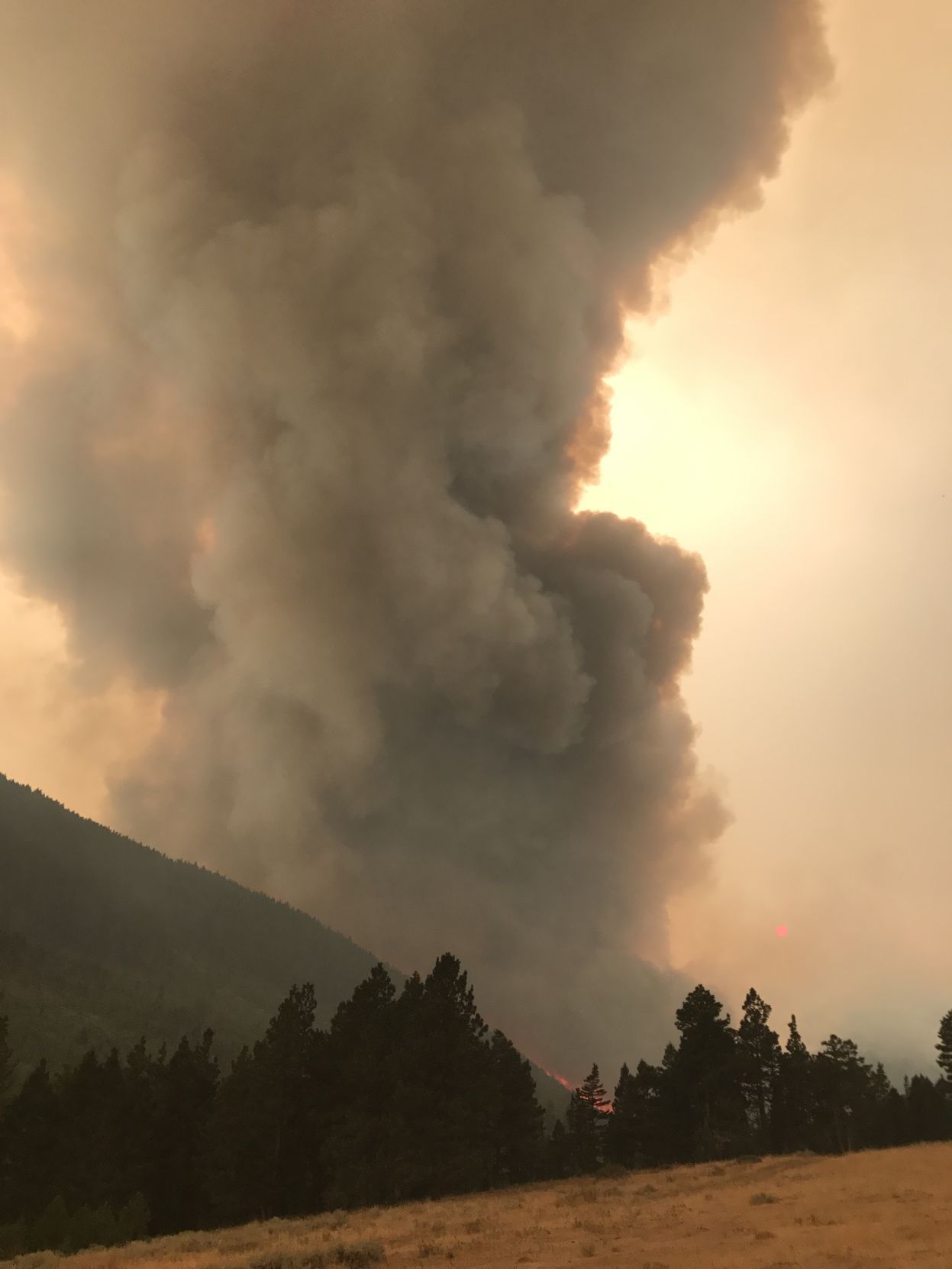 Smoke column from the Alice Creek fire on Aug. 27.